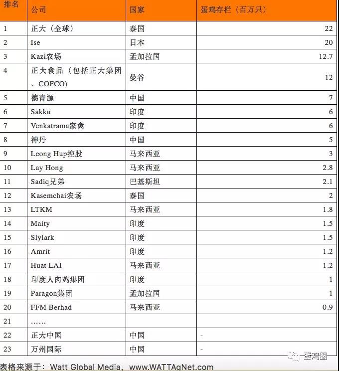 1533113572567890.jpg 亞洲蛋雞.jpg