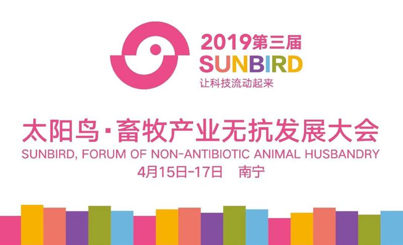 1556005787785888.jpg 南寧1.jpg