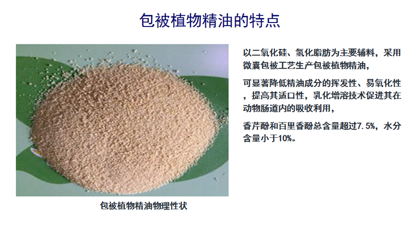 1556006618994354.png 4.png