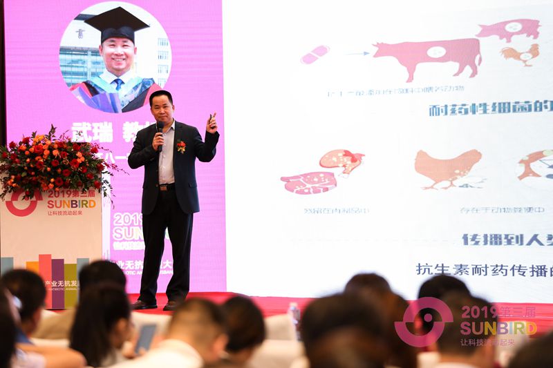 1556006909980926.jpg 1.jpg