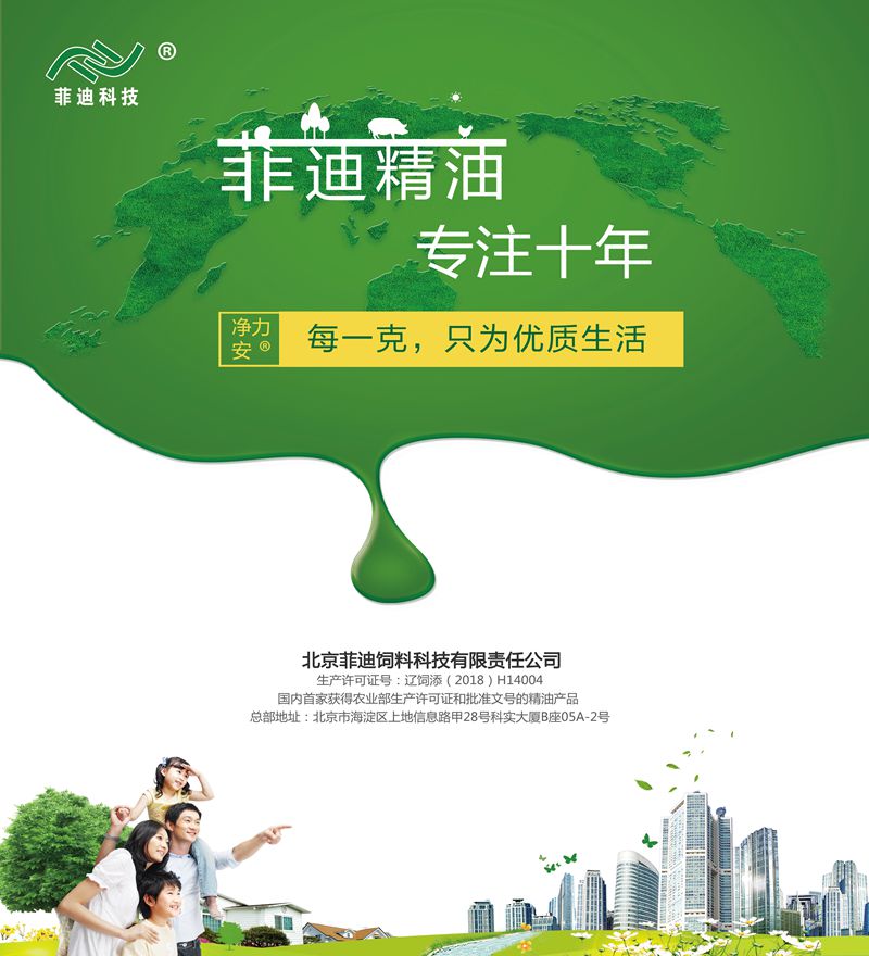 1556071812281127.jpg 菲迪.jpg