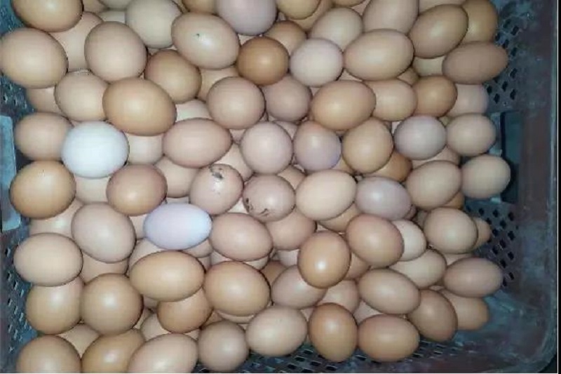 1564020938326965.jpg 2.jpg