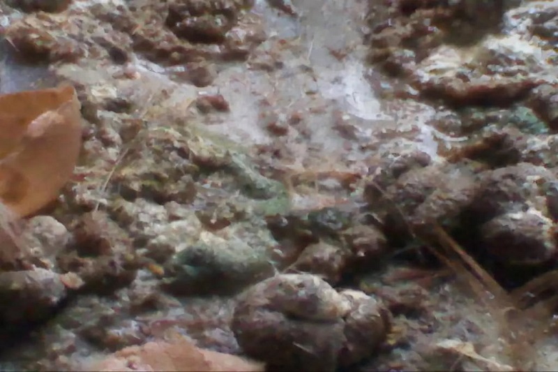 1564021025740264.jpg 3.jpg