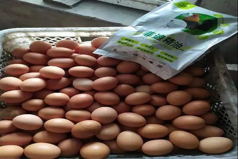 1564021161930541.jpg 5.jpg