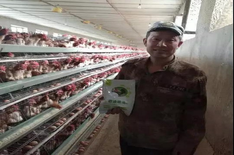 1564021236733917.jpg 6.jpg