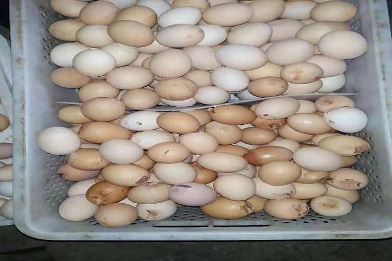 1564021313233123.jpg 7.jpg