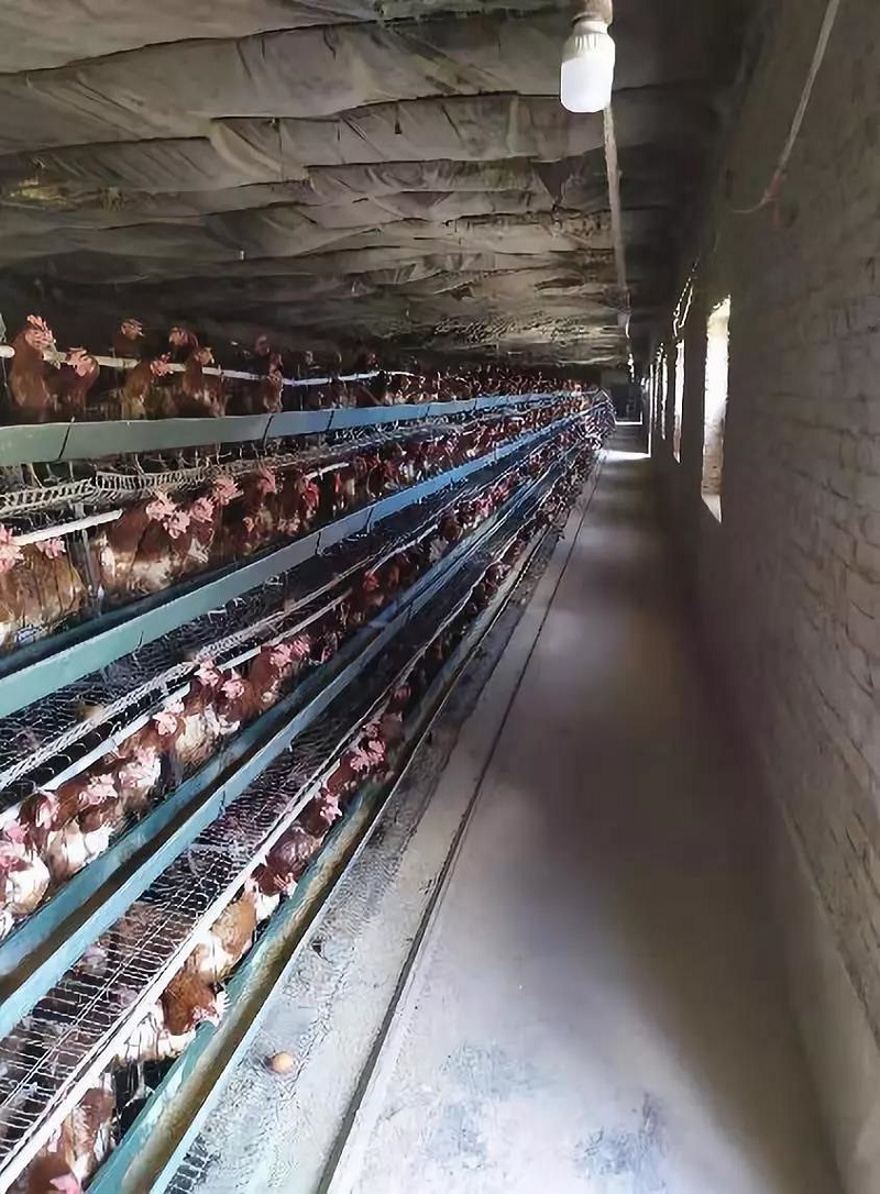 1564021364912902.jpg 8.jpg