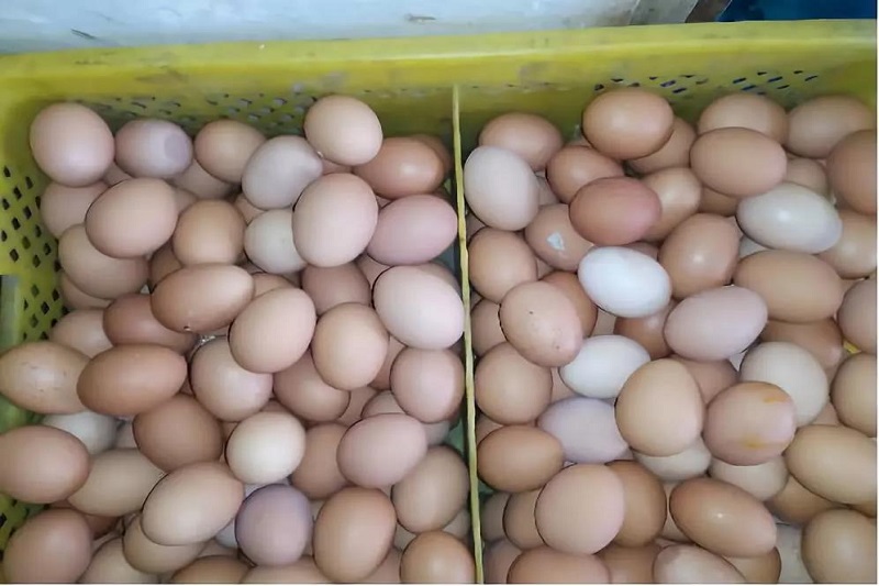 1564021424639221.jpg 9.jpg