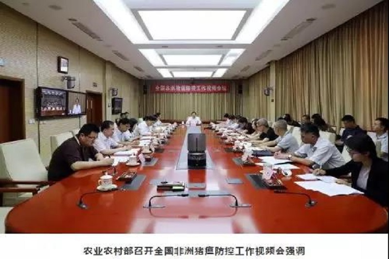 1564110496696075.jpg 微信圖片_20190726110706.jpg